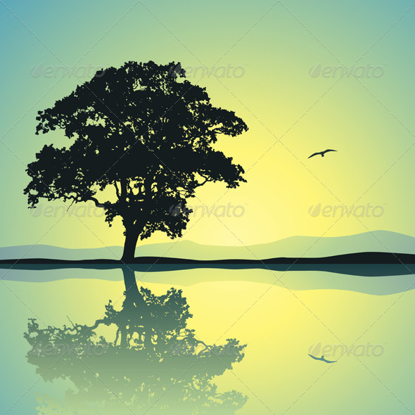 Lone Tree - Landscapes Nature