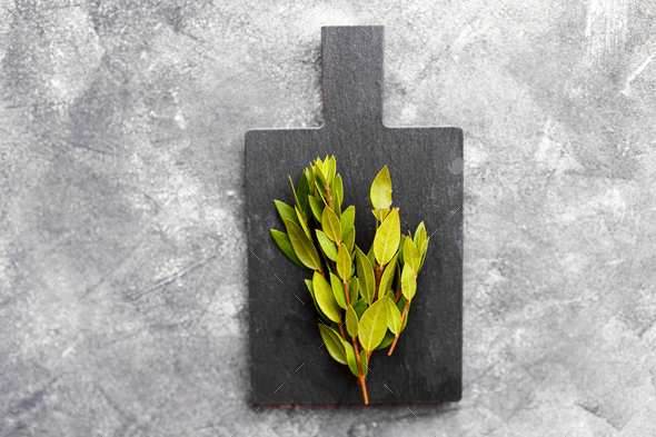 Bunch of fresh myrtle leaves on dark grey background Stock Photo by