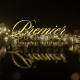 Gold Silver Shine And Logo Reveal - VideoHive Item for Sale