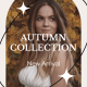 Autumn Sale Instagram Stories