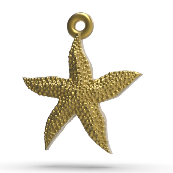 Starfish superb - 3Docean 33744435