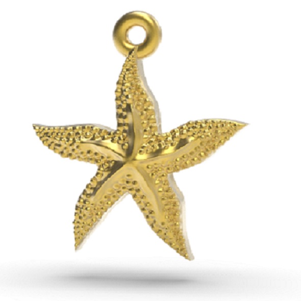 Excellent starfish 3D - 3Docean 33744569