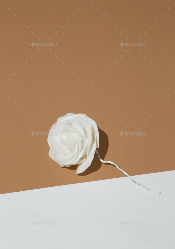 Plastic rose decor on stylish beige and white minimalist space. Stylish wallpaper