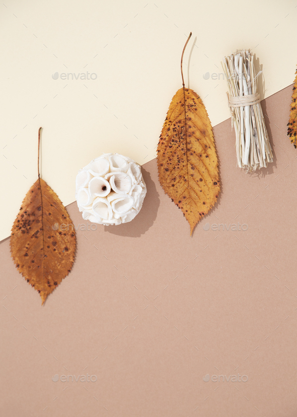 Fall Winter minimalist - Stock Photo - Images