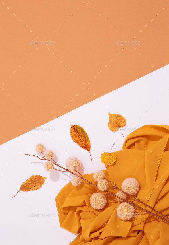 Fall Winter minimalist - Stock Photo - Images