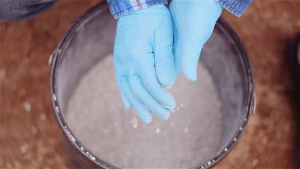 Farmer Examining Herbicides Fertilizer in Hands Before Fertilizing Agriculture Field alt