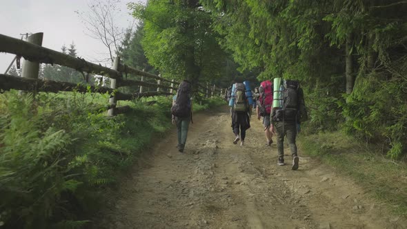 Group of hikers with backpacks climbing the mountain in the misty morning. alt