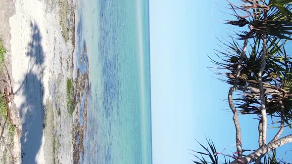 Zanzibar Tanzania  Vertical Video of the Ocean Near the Coast Slow Motion alt
