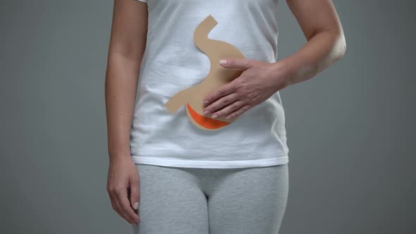 Woman Holding Paper Stomach Sign, Gastritis Prevention, Gastrointestinal Tract