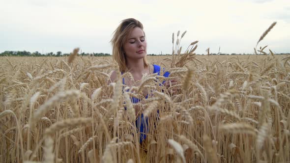 Beautiful Ukrainian Woman Wearing Dress in Ukrainian National Flag Colours Blue and Yellow at Wheat alt