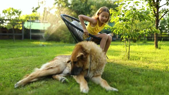 Dog laying on the grass, cute kid girl puts down her mobile phone