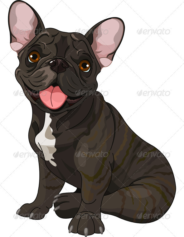 Cute bulldog - Animals Characters