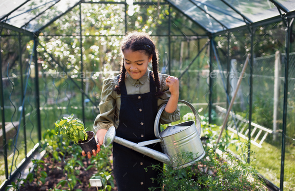 Happy small girl gardening in greenhouse outdoors in backyard - Stock Photo - Images