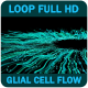 Glial Brain Cells Activity - VideoHive Item for Sale