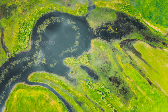 Aerial View Of Green Forest, Meadow And River Marsh Landscape In Summer Evening. Top View Of