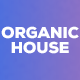 Stylish Organic House