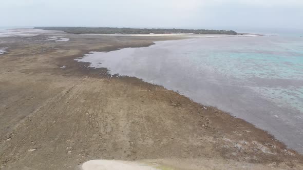 Aerial View of Sandbank in the Ocean at Low Tide Covered with Seaweed Zanzibar alt
