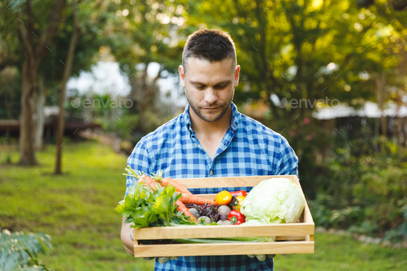 Caucasian man standing in garden holding box of fresh organic vegetables - Stock Photo - Images