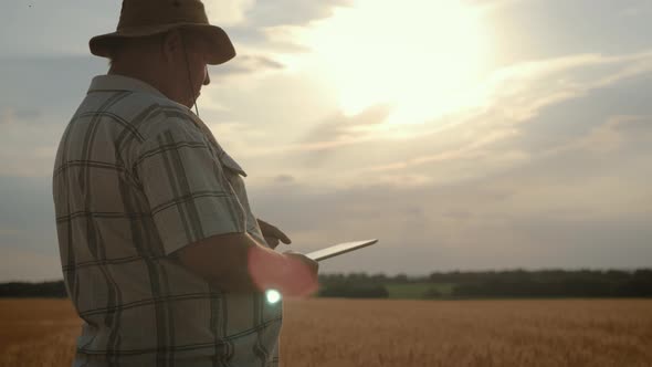 Senior Farmer in a Wheat Field Using Modern Technologies in Agriculture at Sunset. Smart Farming alt