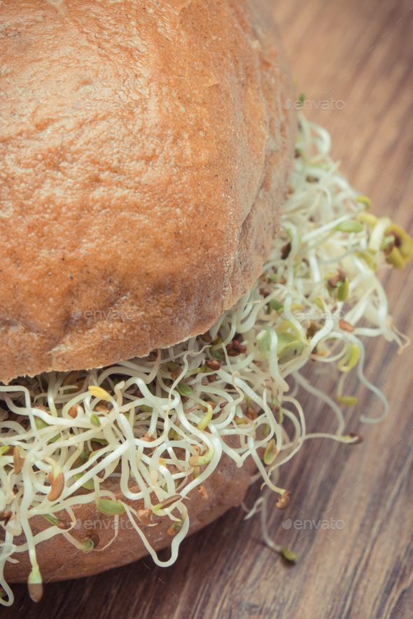 Alfalfa and radish sprouts with bread or roll. Healthy addition to sandwiches Stock Photo by