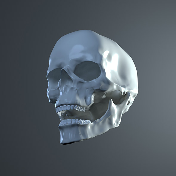 Skull - 3Docean 33872296