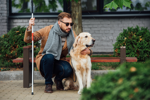 Blind man with walking stick hugging guide dog on street