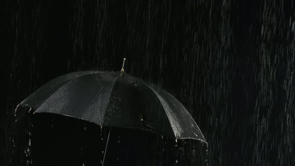 An Open Black Umbrella in the Rain Through Which Streams of Water Flow Down. Filmed Close Up in a alt