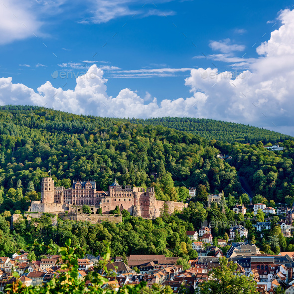 Heidelberg town on Neckar river, Germany - Stock Photo - Images