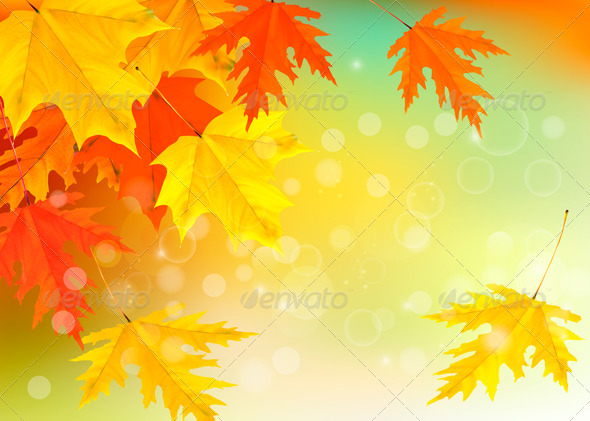 Autumn background with leaves - Seasons Nature