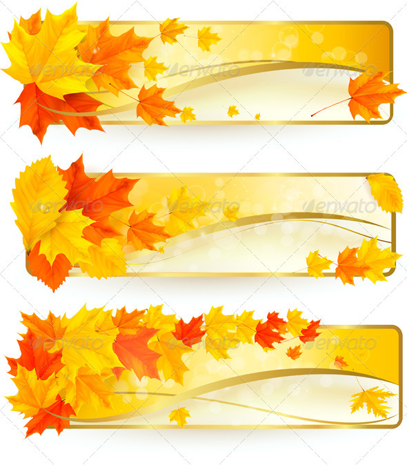 Three autumn banners with colorful leaves in golde - Seasons Nature