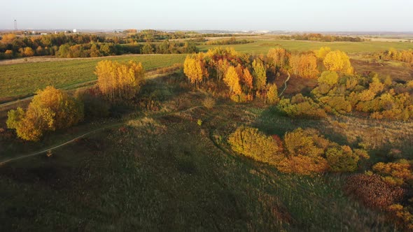 Flying Over the Autumn Orange Trees Over the Countryside. Aerial View of Autumn Colors. Narrow