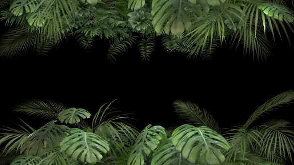 Tropical Plant on an Alpha Channel alt