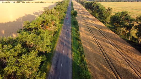 Aerial Drone View Flight Over Highway Wheat Field and Green Trees at Sunset Dawn alt