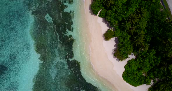 Daytime drone abstract shot of a white sand paradise beach and blue ocean background in 4K alt