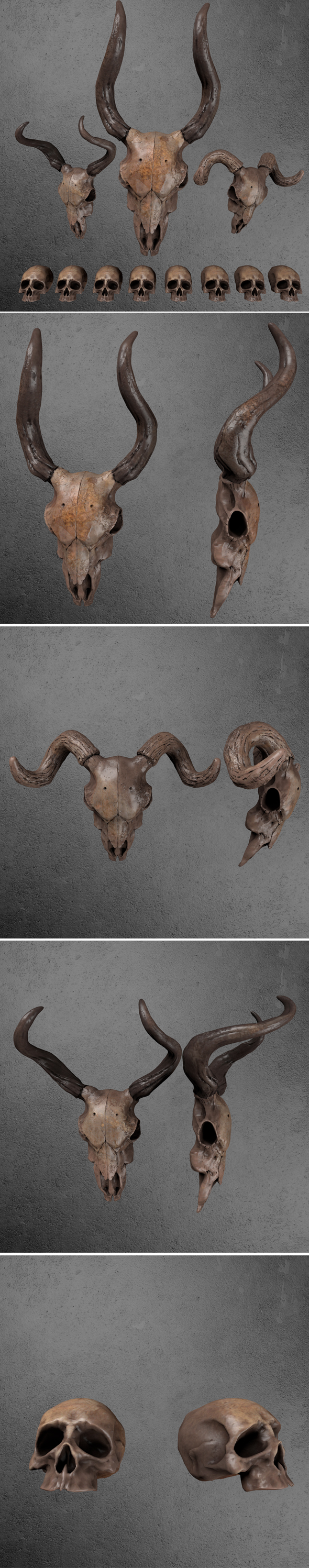 Skull GoatPACK - 3Docean 33923255