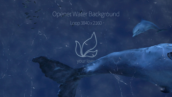 Opener Water Background - VideoHive 33925848