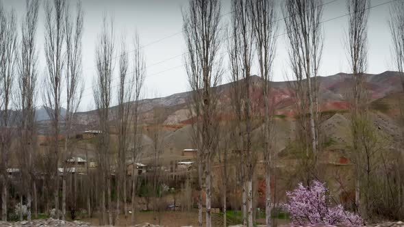 A Beautiful Landscape of a Mountain Village of Tajikistan in Spring Through Leafless Trees and One