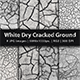 White Dry Cracked Ground