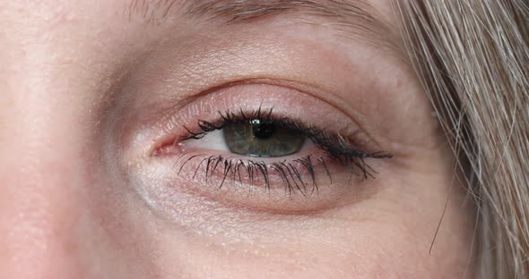 Greyish Green Female Eye Blinking at Camera