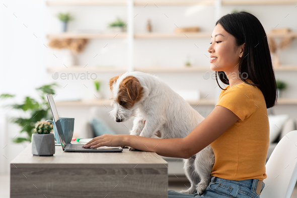 Funny puppy helping its mother to work from home - Stock Photo - Images