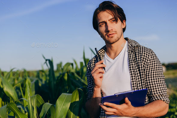 Portrait of agronomist in a field taking control of the yield and making a note - Image