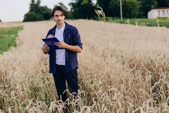 Ful-length portrait of agronomist standing in a wheat field taking control of the yield