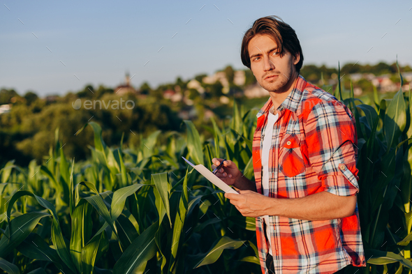Agronomist taking control of the yield of corn thoughtfully looking out.- Image
