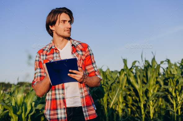 Portrait of smiling agronomist standing in a cornfield taking control of the yield