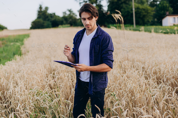 Portrait of agronomist in a wheat field taking control of the yield .- Image