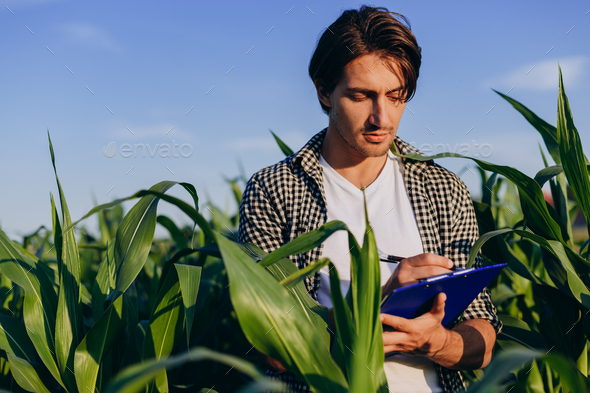Young agronomist in a field taking control of the yield and making a note - Image