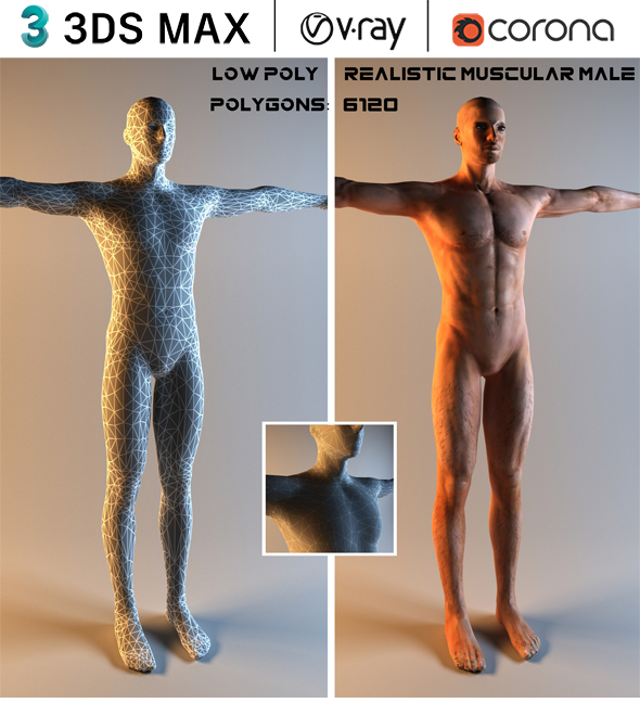 Realistic Muscular Male Low Poly 3D Model
