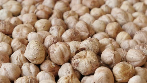 Lot of common hazelnuts  raw food background slow tilt 4K 2160p 30fps UltraHD footage - Corylus avel alt