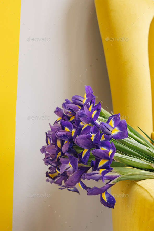Iris bouquet on yellow chair on grey background . Holiday , mothers day, women\'s day