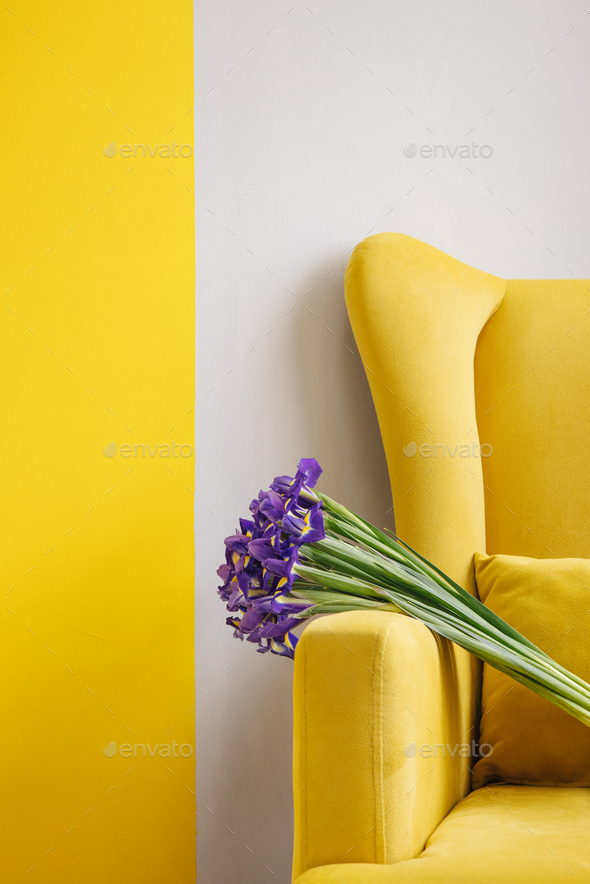Iris bouquet on yellow chair on grey background . Holiday , mothers day, women's day